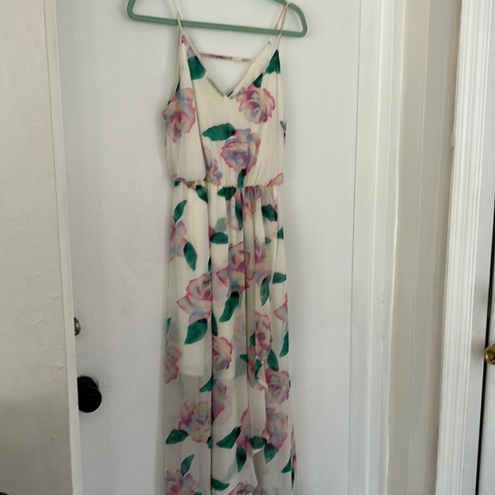 Sienna Sky Floral Print Lined Maxi Dress